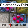 Enlargenexx Pills 15